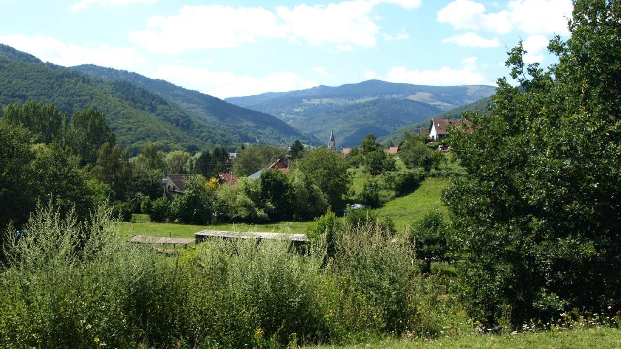 Gite Du Durrenbach Lautenbach Eksteriør billede