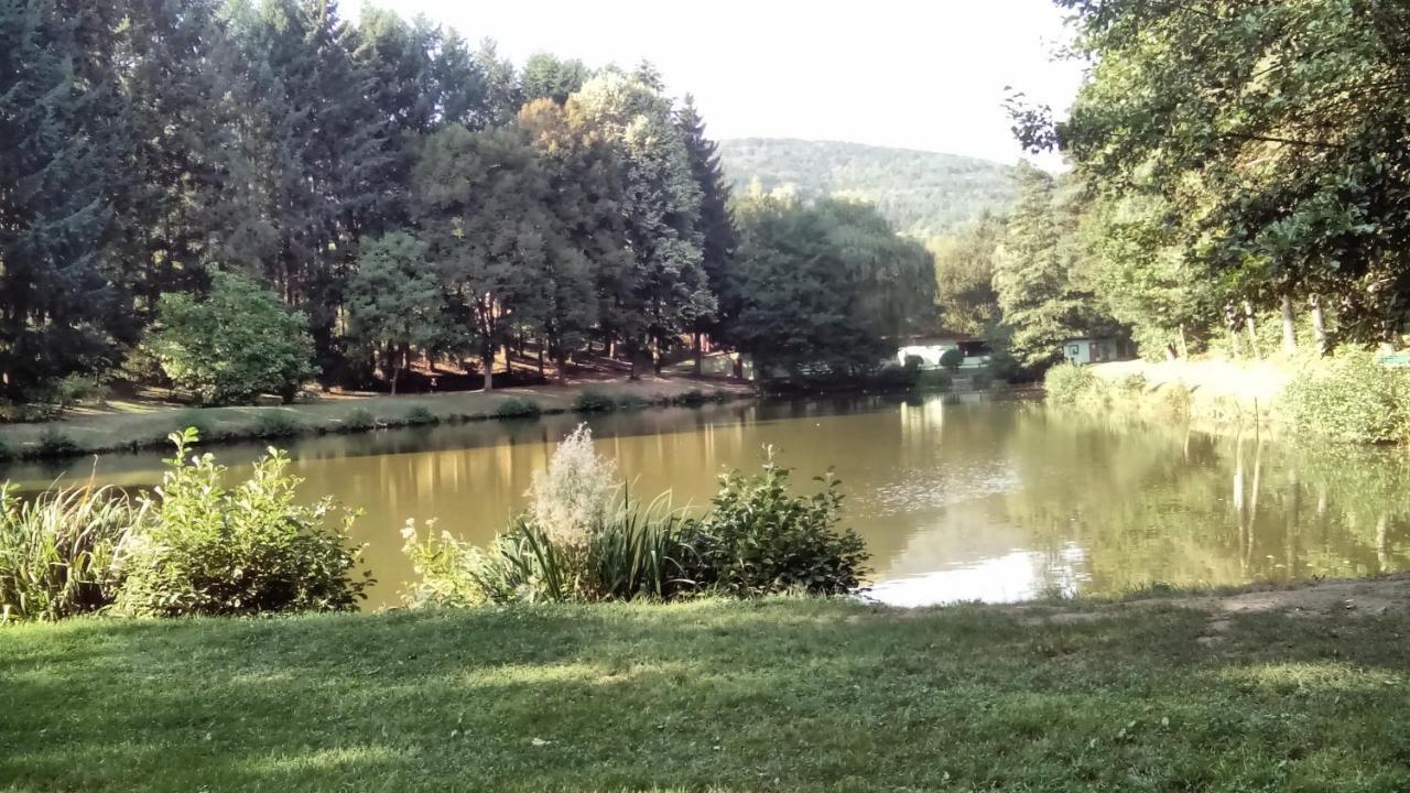 Gite Du Durrenbach Lautenbach Eksteriør billede