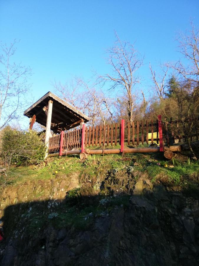 Gite Du Durrenbach Lautenbach Eksteriør billede